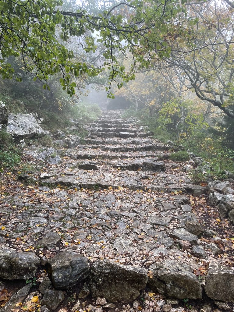 Les escaliers de pierres abrupts dans la forêt de la Sainte Baume menant à la grotte de Sainte Marie-Madeleine